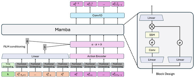 FastDP network architecture